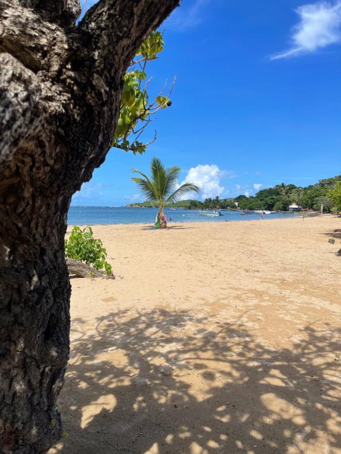 Appartement Vue Mer A 2 Minutes A Pied Des Plages Tartane 拉特里尼泰 外观 照片