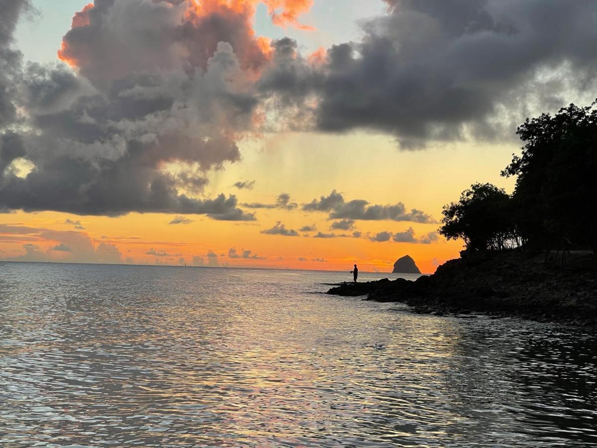 Appartement Vue Mer A 2 Minutes A Pied Des Plages Tartane 拉特里尼泰 外观 照片