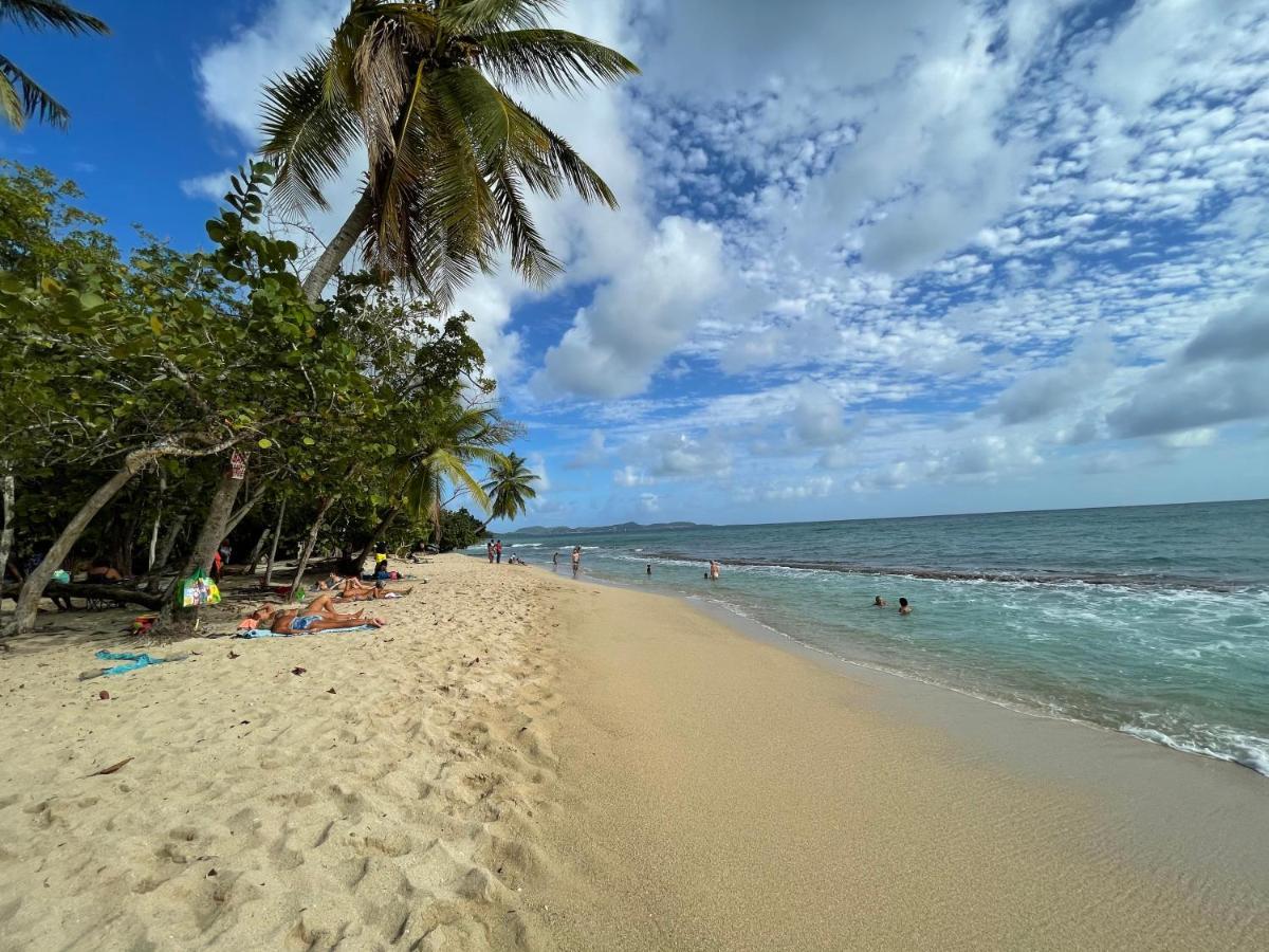 Appartement Vue Mer A 2 Minutes A Pied Des Plages Tartane 拉特里尼泰 外观 照片