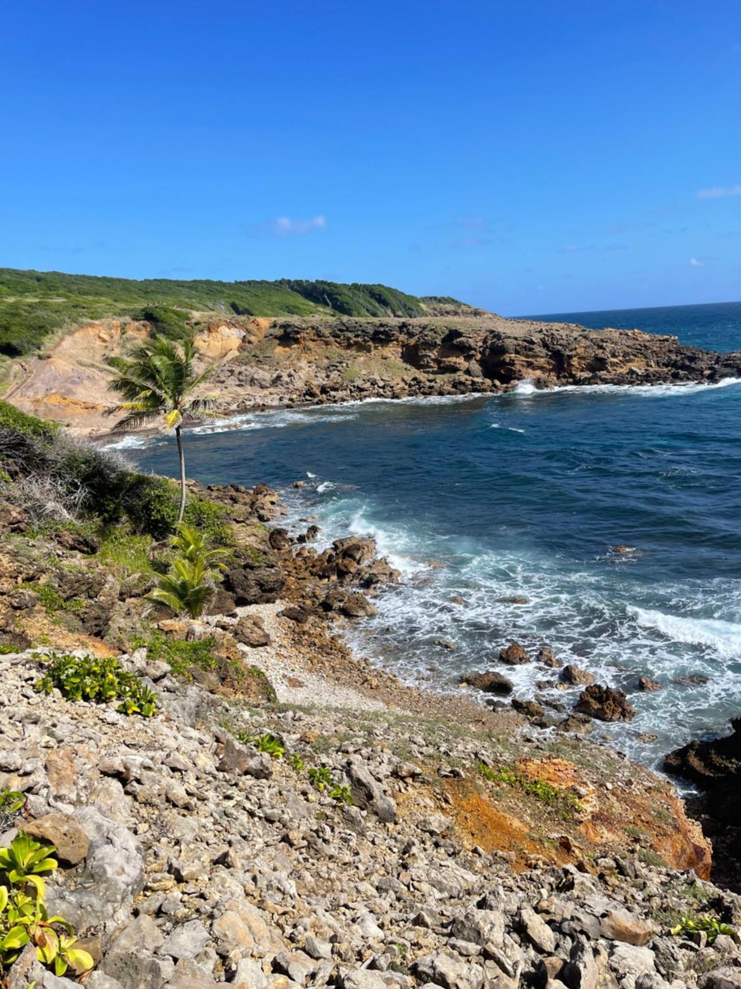 Appartement Vue Mer A 2 Minutes A Pied Des Plages Tartane 拉特里尼泰 外观 照片